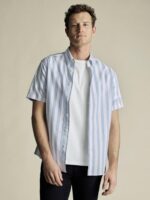 Cotton Stripe Classic Fit Button Down Short Sleeve Shirt - Sky Blue - Image 2